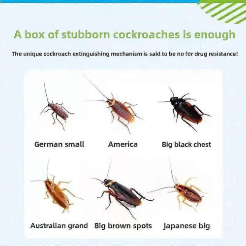 Cockroach Gel Bait Roach Control, Pest Killer with Plunger Tip for Floor Kitchen(1pcs) 1