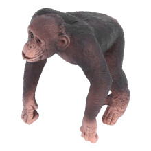 Educational Toy Jungle Animal Figurine Set Realistic Wildlife Sculptures Wild Life Animal Figurine Highly Detailed Hand Painted Learning Support