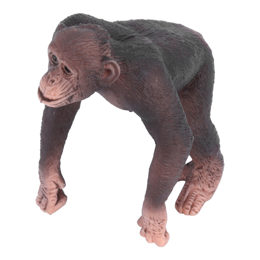 Educational Toy Jungle Animal Figurine Set Realistic Wildlife Sculptures Wild Life Animal Figurine Highly Detailed Hand Painted Learning Support