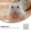 2pcs Hamster Summer Cooling Board Marble Design Pet Sleeping Mat for Home 4