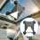 Suction Cup Mount for Car Mini, 2 in 1 Satellite Holder Protective Silicone Case 2