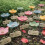Σταθμός Ύδρευσης Μελισσών σε Σχήμα Λουλουδιού, Κεραμικό, με Σκοινιά - A-3 Τεμάχια 2