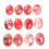 10Pièces Accessoires Agate Melon Forme Ovale DIY 9