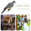 2Pièces Pigeons Figurines Pe Réalistes 5