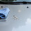3 Voies Alliage Gris Durables Pour Purge Freinage 6