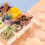 20Pièces Récipients Carrés À Mousse En PP Transparent Usage 10