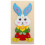Bunny 3D Bois Éducatif Pour Enfants 1