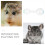 de course transparente pour hamster petits animaux 9