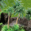 2 Count Artificial Palm Plants Micro Landscape Ornament 11