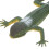 48 Pcs Simulation Lizard Toys Realistic Gecko Figures For Home Decor 6