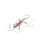 48 Pcs Simulation Lizard Toys Realistic Gecko Figures For Home Decor 2