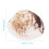 Multi-Color Shell and Conch Crafts for Unique DIY Projects 9