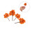 20Pcs Plastic Miniature Model Trees for DIY Scene Landscape Decoration 11
