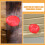 10Pcs Red Plastic Smokes Alarm Covers Dust Protective Caps for Kitchen 7