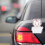 15pcs Aromatherapy Tablet Car Essential Oil Pad Scented Refill Pad For Diffuser Use In Car 6
