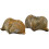 4 Pcs  Brachiopod Paleontology Fun Science Ornaments Teaching Props 1