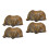 4 Pcs  Brachiopod Paleontology Fun Science Ornaments Teaching Props 4