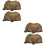 4 Pcs  Brachiopod Paleontology Fun Science Ornaments Teaching Props 6