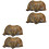 4 Pcs  Brachiopod Paleontology Fun Science Ornaments Teaching Props 3