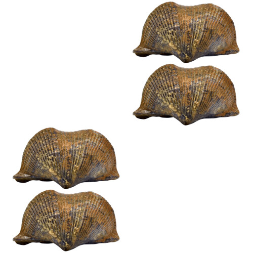 4 Pcs  Brachiopod Paleontology Fun Science Ornaments Teaching Props 2