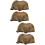 4 Pcs  Brachiopod Paleontology Fun Science Ornaments Teaching Props 7