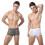 Grey Men Underwear Elastic Breathable Comfortable Briefs 2