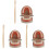 3 Sets Child Teeth Model For Oral Education Random Color 3