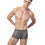 Grey Men Underwear Elastic Breathable Comfortable Briefs 4
