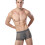 Grey Men Underwear Elastic Breathable Comfortable Briefs 3