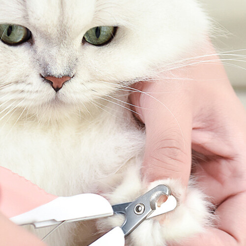 Pet Nail Care Revolution, Εργονομική λαβή για άνετες συνεδρίες περιποίησης, Κοφτερή λεπίδα 1