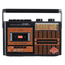 Lychee Portable Retro Cassette Tape Player and Recorder with AM/FM/SW1-2 Four Bands Radio,Built-In Speaker,3.5mm Headphone Jack,Support SD/USB Input