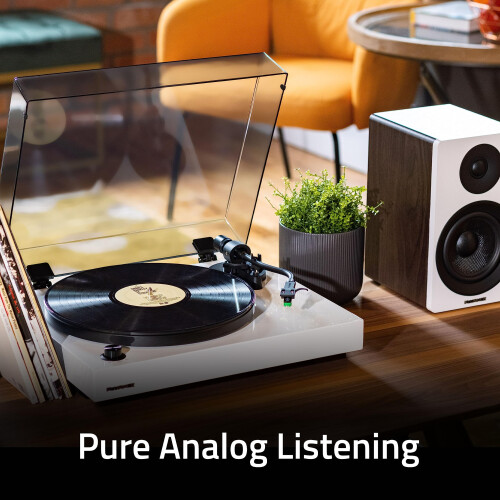 Fluance RT81+ Elite High Fidelity Vinyl Turntable 1