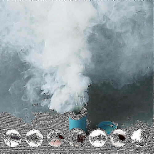 4 Piece Roach Killer Smoke Bombs Aromatherapy Scented Pest Control for Household Indoor Use