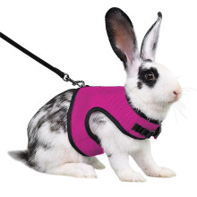 Escape Proof Rabbit Harness and Leash with Breathable Mesh, Adjustable Fit, Hot Pink XL for Large Rabbits