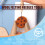 Felting Needle Kit with Wooden Handle, 3 Sizes Needles, MultiNeedle Capability and Storage Box 3