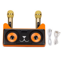 Draadloze karaokemachine voor volwassenen en kinderen met dubbele microfoons, draagbare Bluetooth-luidspreker met oplaadbare batterij en