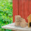 8Pcs 0.79" Mini Farm Grass Hay Bales For Mini 7