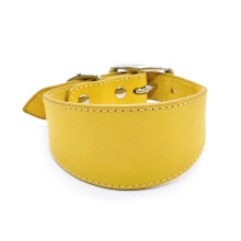 Leather Greyhound Collar Wide Soft Padded Comfort for Whippets Lurchers and Large Sighthounds