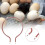Efficient Hatching Solution, CircularHeatingTube For EggIncubatorAccessory, Professional And Reliable Heating For Enhanced Farm Productivity 2
