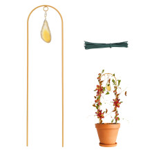 Eisen-Gold-Kletterwein-Rebenrahmen mit Kabelbindern, 43x10cm, 90g