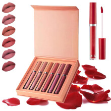 Matte Liquid Lipstick Set of 6 Waterproof Smudge Proof Long Lasting Pigment