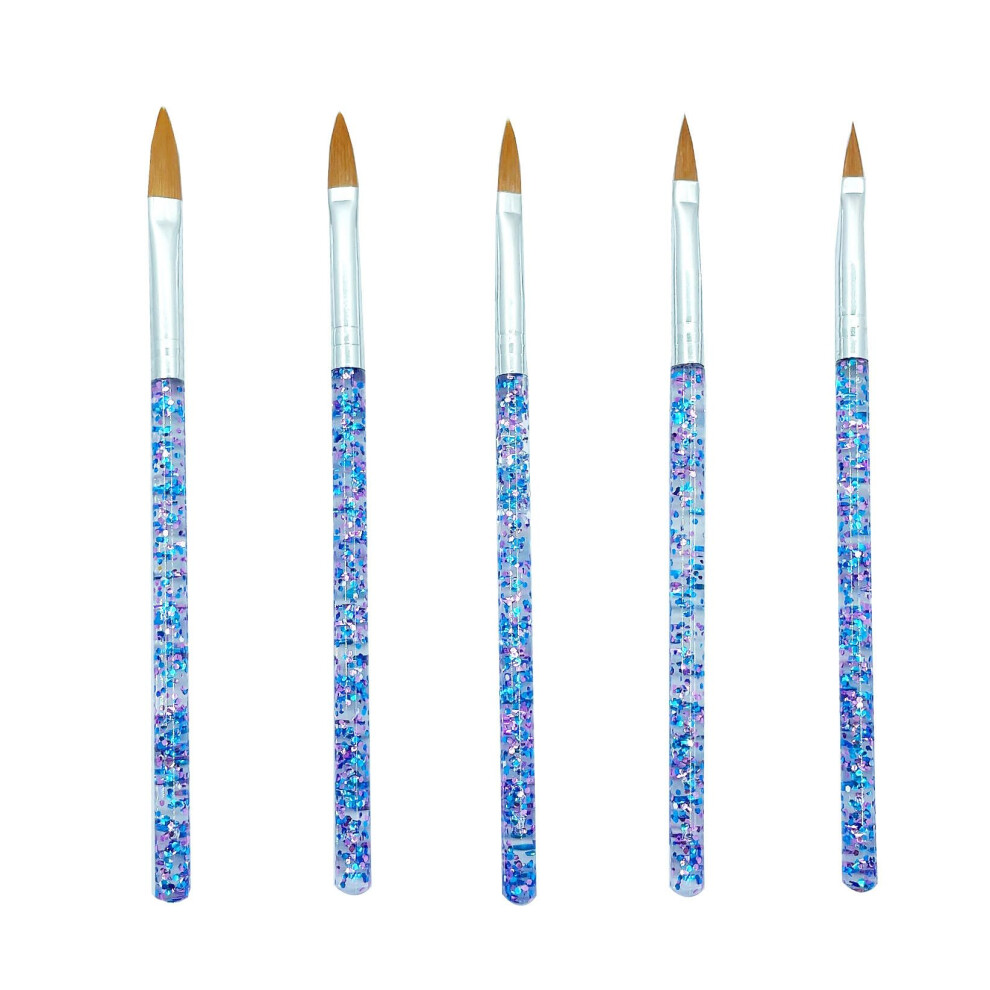 Blue 5Pcs Nail Art Brush Set With Nail Extension Gel Brush And Dotting Pen For Precise Detailing