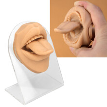 Modèle de langue humaine en silicone souple avec support en acrylique pour présentation de bijoux, couleur peau