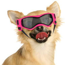 Pet's Outdoor Gear, Dog Goggles With UV Protection And Comfortable Frame, Perfect For Small Breed Adventures
