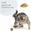 Unforgettable Feline Adventure: Mess-Free, Interactive Toy For Endless Fun 4