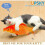 Plush Cat Toy Collection, Simulation Fish with Rechargeable Battery for Endless Fun 4