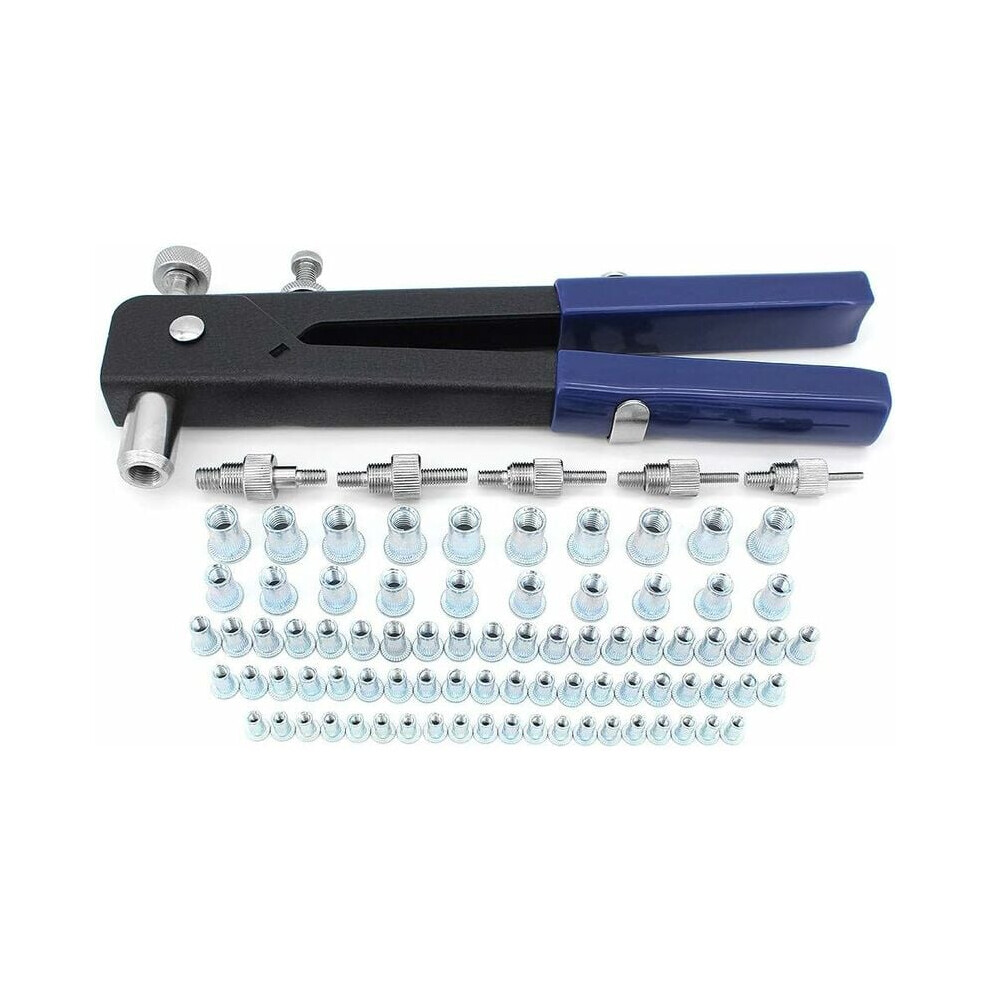 Alloy Steel Rivet Nuts Kit, Premium Zinc Plated Flat Head Rivet Nut Assortment For Various Sizes 9169997641748