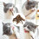Υψηλής ισχύος στικ μάσημα Catnip, φυσικό Matatabi Silvervine για στοματική υγιεινή και 5
