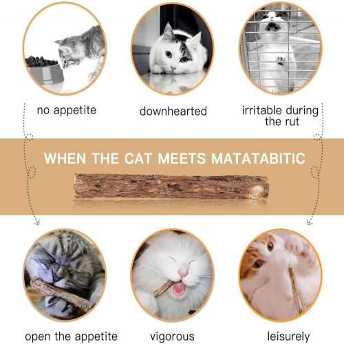 Υψηλής ισχύος στικ μάσημα Catnip, φυσικό Matatabi Silvervine για στοματική υγιεινή και 1