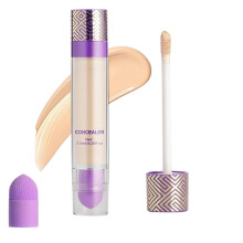 Concealer Stick 2 in 1 DoubleSided with Brush Waterproof LongLasting Full Coverage 02#